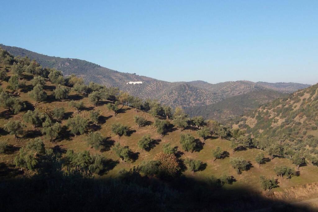 Вилла Cortijo "Era Grande 2" Кордова Экстерьер фото