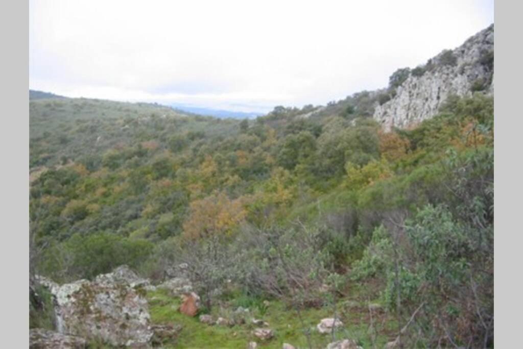Вилла Cortijo "Era Grande 2" Кордова Экстерьер фото