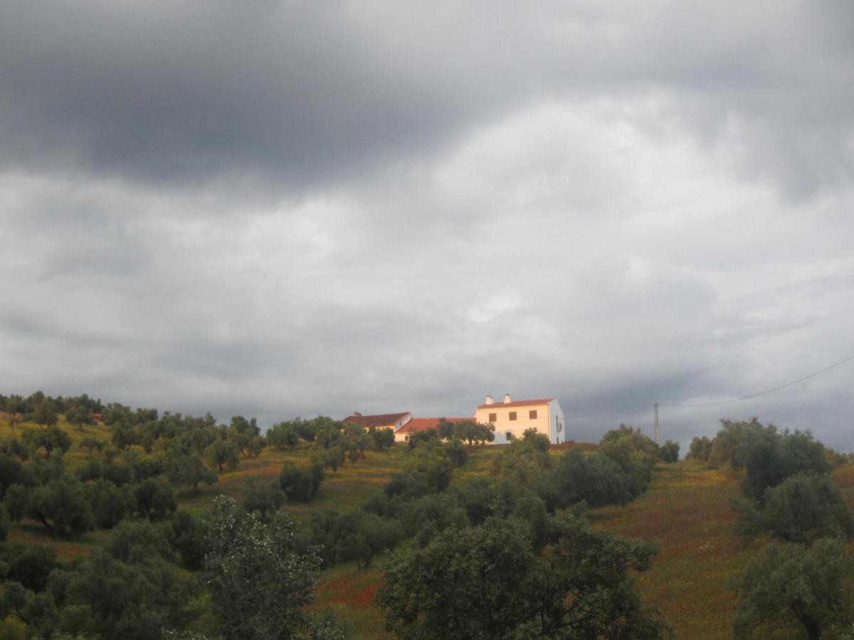 Вилла Cortijo "Era Grande 2" Кордова Экстерьер фото